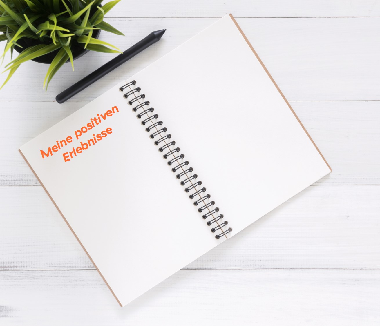 Ringbuch mit Stift und grüner Pflanze