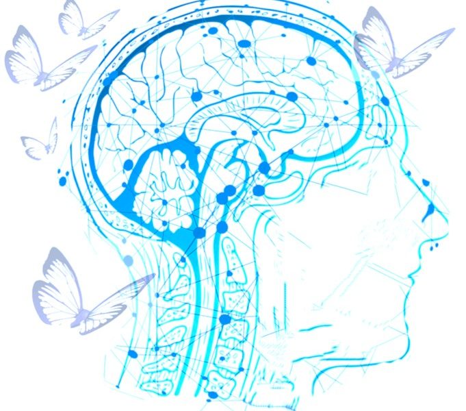 Zeichnung Kopf mit Gehirn; Schmetterlinge fliegen um Kopf