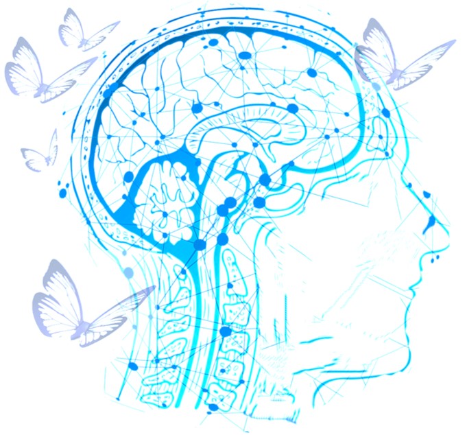 Zeichnung Kopf mit Gehirn; Schmetterlinge fliegen um Kopf